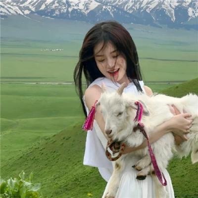 女警爱作战粤语