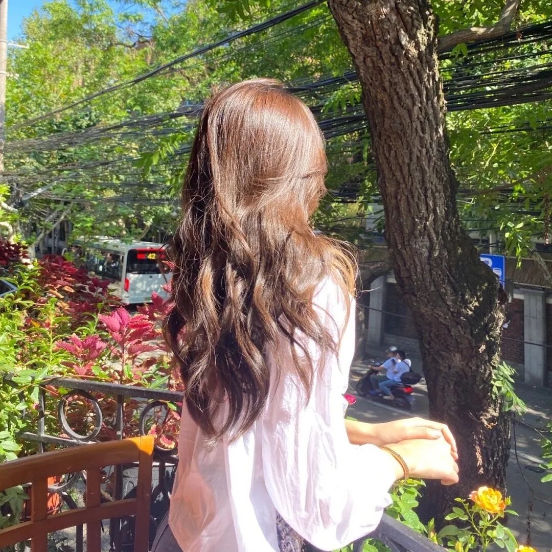 老虎与妙贼